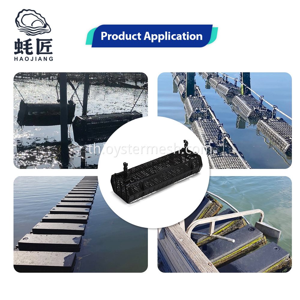 Usage of Hexagonal Oyster Cage